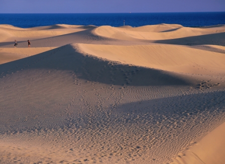 Maspalomas. Dunas. Gran Canaria web