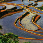 UNESCO adds new sites to its World heritage List.
