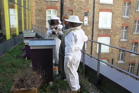 beekeeping at St Ermins 003