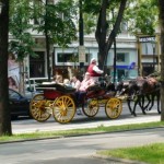 vienna carriage