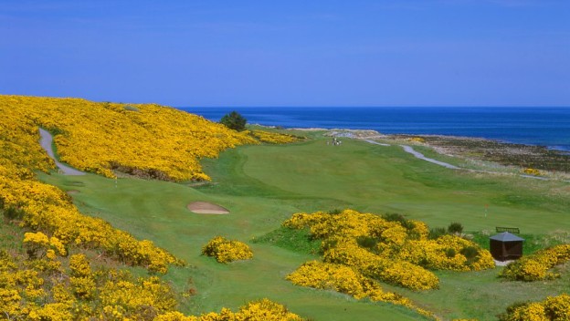 Andy Mossack reviews Royal Dornoch Golf Club, one of Scotland's most iconic courses. RDGC6th12thgreens 624x352