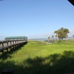 Kissimmee 134