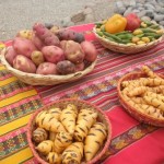 Mistura Andean potatoes