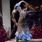 Fotos Museo del Baile Flamenco Solistas 29 1024x745