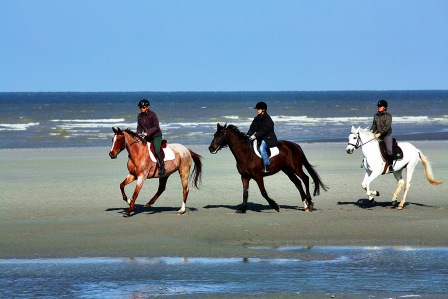 Chevaux Plage-2