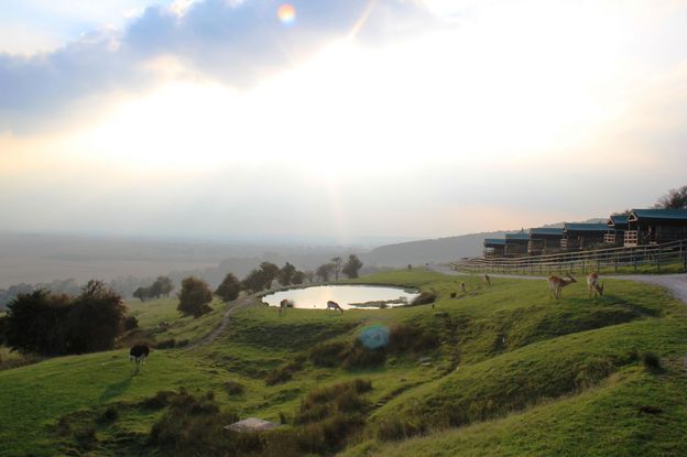 Livingstone Lodge 025