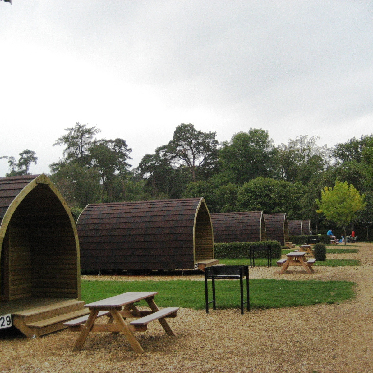 Sandy Balls New Forest Camping