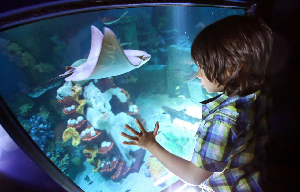 Atlantis Ride Experience