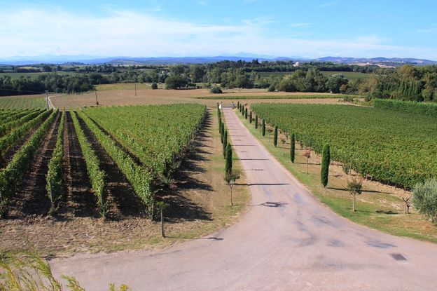 Languedoc wine tasting 049