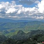 Shimla vista