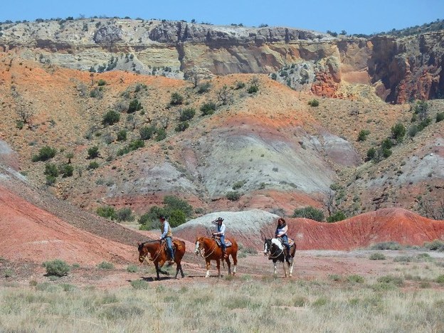 Georgia O'Keeffe's New Mexico