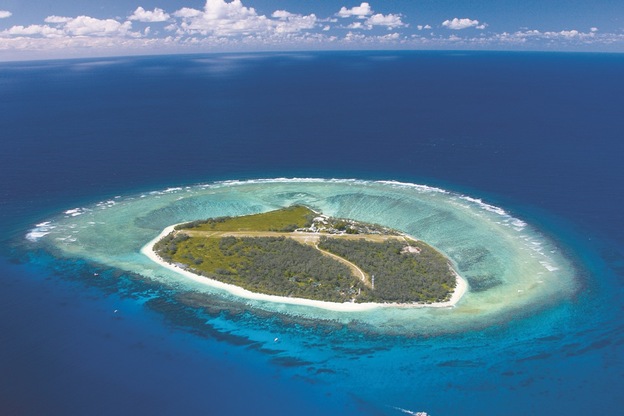 Famous for seasonal whale watching, Lady Elliot Island a 3,500 year old coral cay is among the most pristine and untouched sections of the Great Barrier reef.f