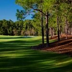 Andy Mossack reviews Tranquilo Golf Club at Four Seasons Resort Orlando