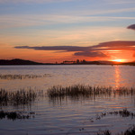 I5D4932 Eriska sunset from reeds SMALL