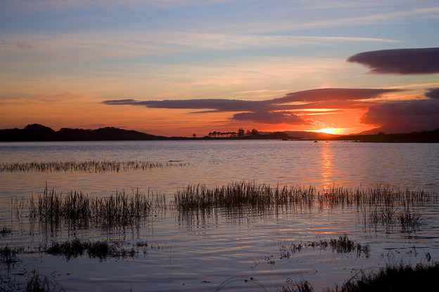 I5D4932 Eriska sunset from reeds SMALL