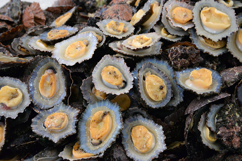 Guide To Madeira's Restaurants