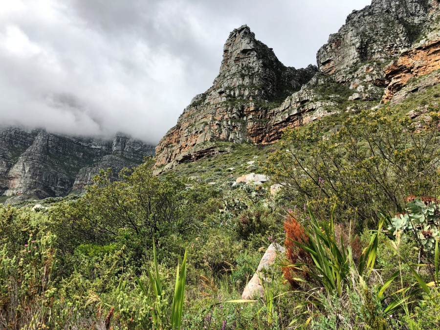 Brian Berkman discovers the best way of climbing Table Mountain