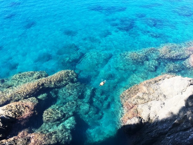 Liguria beyond the Cinque Terre.