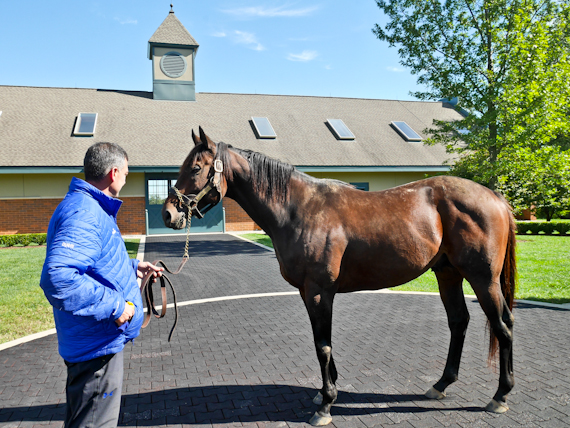 Rupert Parker provides his personal guide to Kentucky, and how to enjoy the Bluegrass state.
