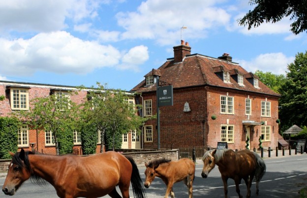 Andy Mossack review the Bell Inn, a heavenly hotel deep in the New Forest.