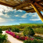 OCOA BAY DOMINICAN REPUBLIC 2
