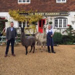 Michael Edwards enjoys glamping in a Shepherds Hut at the Merry Harriers in Godalming Surrey Jake David llamas MH