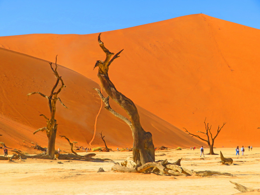 Dramatic South Namibia Namib desert Sossusvlei IMG 2107 2 copy