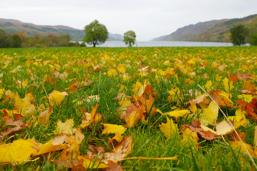 Autumn leaves point the way to Loch Ness on a still morning. Sue Mountjoy edited