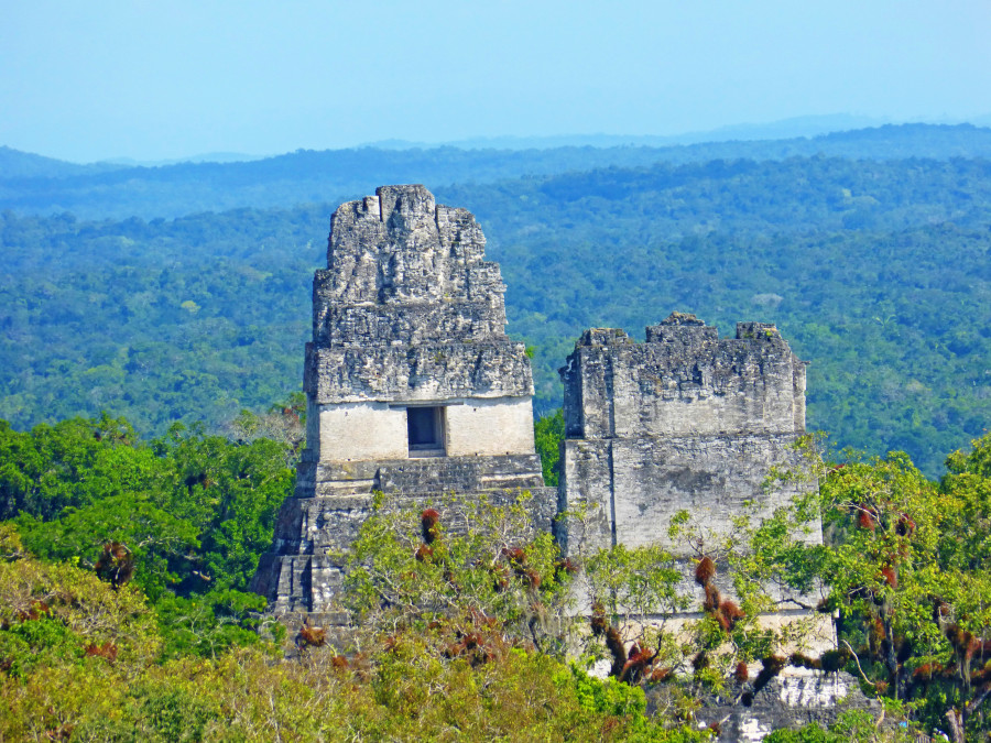 Guatemala 15 Tikal temple views across jungle P1210451 opy copy