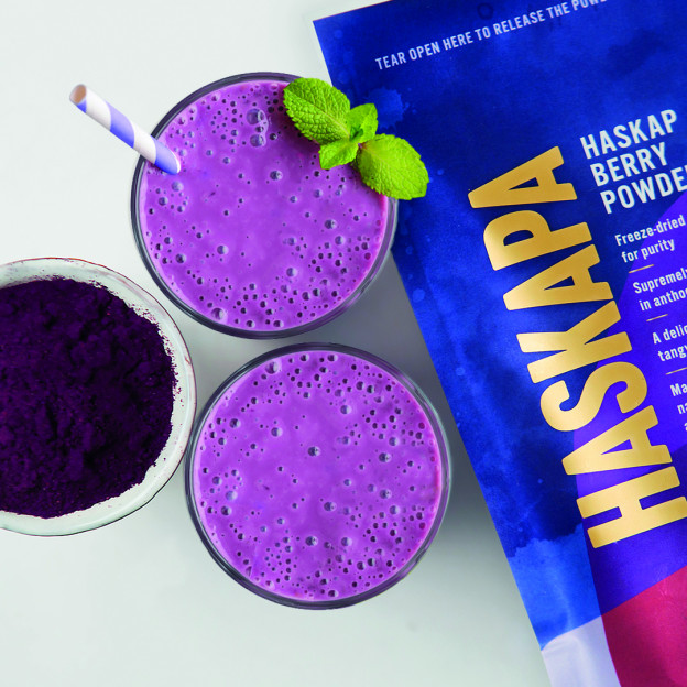 Andy Mossack reviews Haskapa Berry Powder