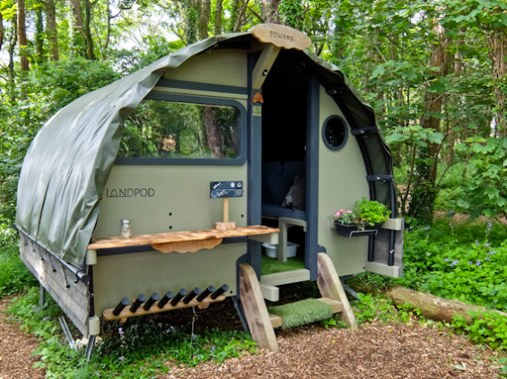 Glamping at Wildflower Wood 