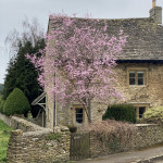 Join Anthea Gerrie as she explores Thyme, the extraordinary Cotswolds village-within-a-village.