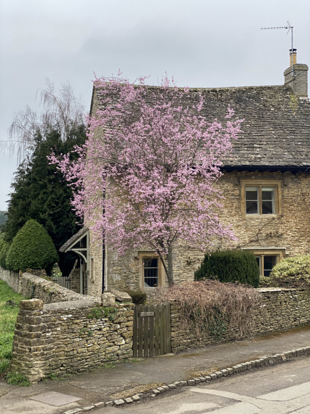 Join Anthea Gerrie as she explores Thyme, the extraordinary Cotswolds village-within-a-village.