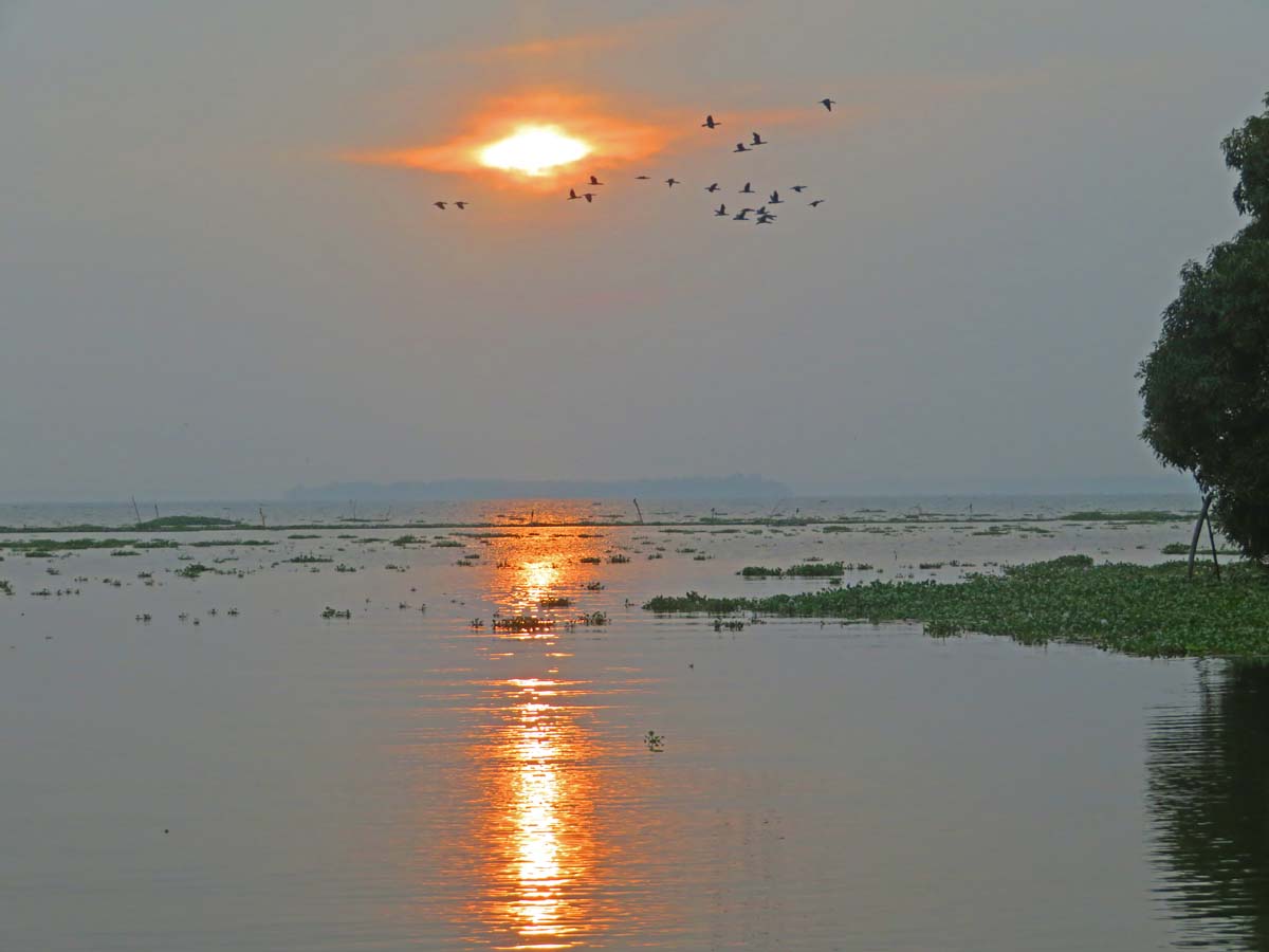 TR Kerala cgh 12 sunset on lake IMG 3915 copy