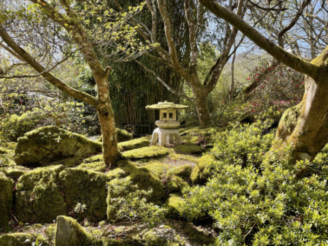 Japanese Garden St Mawgan