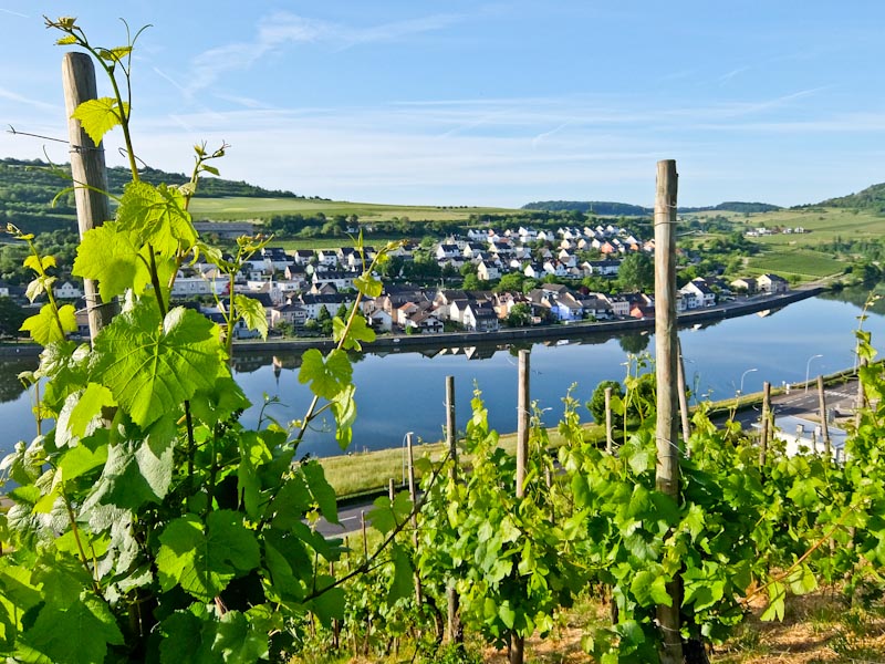 Moselle and Germany
