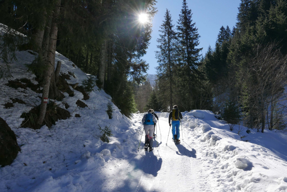 8. Snowshoeing at Kitzbuhel