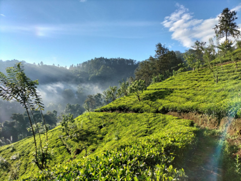 Insider guide to sri lanka