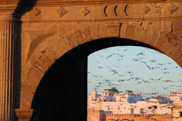 Insider Guide to Essaouira