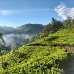 Insider guide to sri lanka