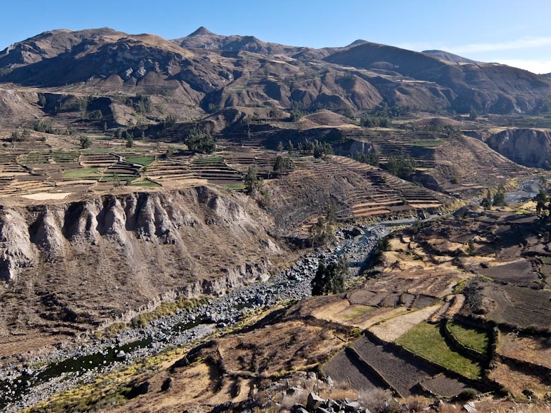 Colca Canyon and Terraces