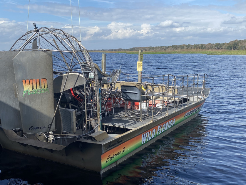 Wild Florida AirBoat (c) Andy Mossack