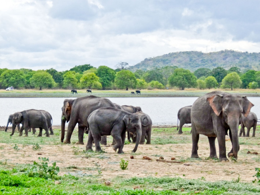 Rupert Parker Journeys Into the Spiritual Heart Of Sri Lanka's sumptuous Interior.