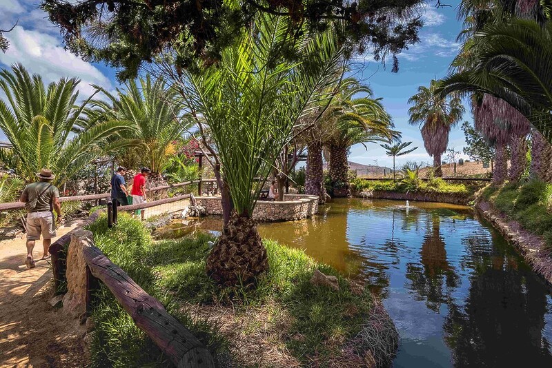 Andy Mossack discovers glorious beaches and a welcoming heart in this guide to Porto Santo.