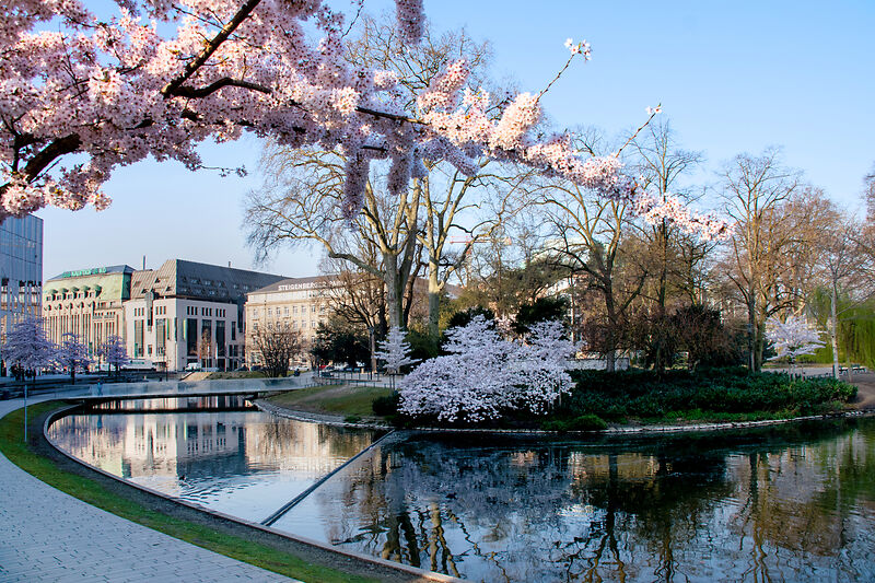 Dusseldorf for a long weekend