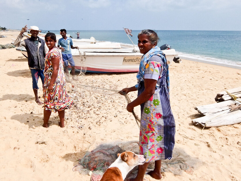 Rupert parker goes slow and explores the city of Jaffna and its peninsula in his guide to cycling Sri Lanka.