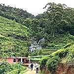 Food and Trekking in Sri Lanka.