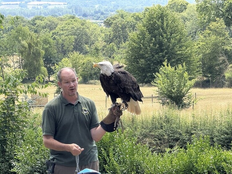 Andy Mossack offers his guide to the hidden Cotswolds, where over-tourism is certainly not an issue.