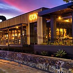 Sarah Kingdom dines at COY in Cape Town’s V&A Waterfront and discovers an award-winning harbour-side experience, where flavours and seasons meet with quiet confidence.