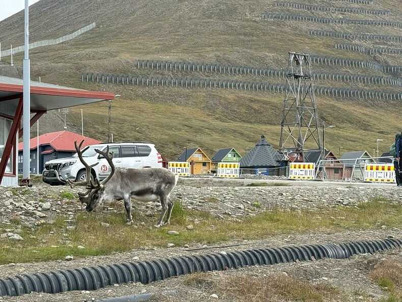 Andy Mossack joins a Secret Atlas Micro Cruise with just twelve guests exploring the Arctic Svalbard Archipelago.